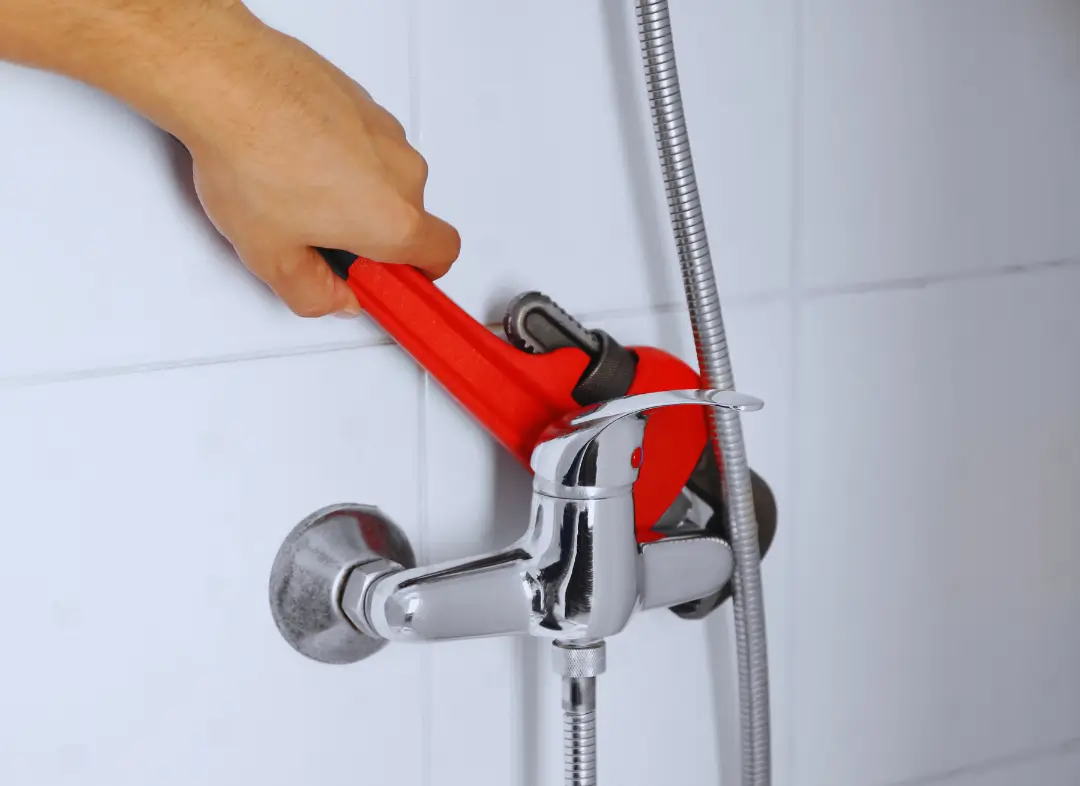 Mitigeur Thermostatique douche La Roche-sur-Foron