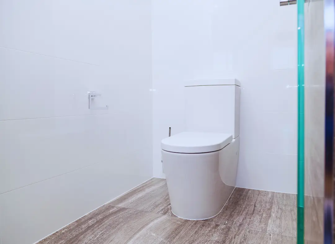 Remplacement de wc La Roche-sur-Foron