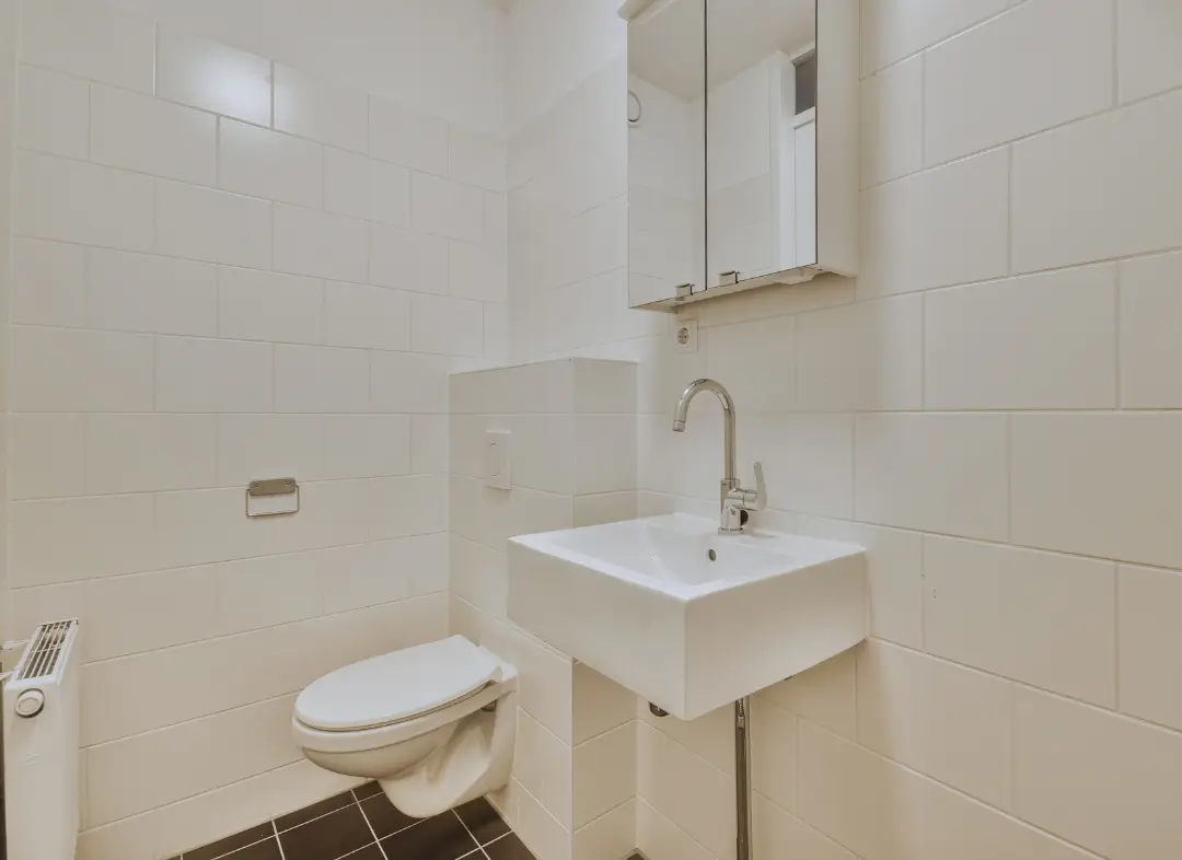 Pose WC Suspendu La Roche-sur-Foron